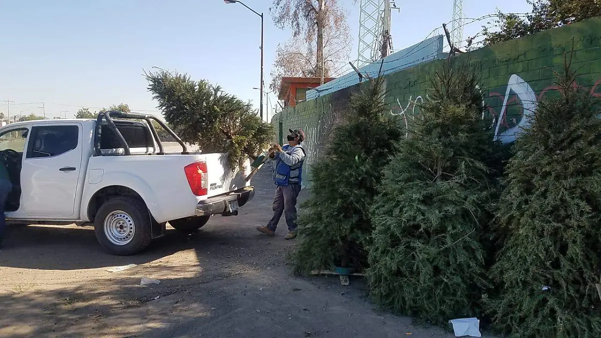 arbolitos árboles de Navidad  (8)